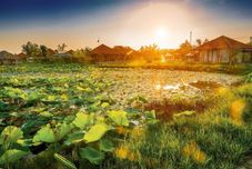 Others Allamanda Estate