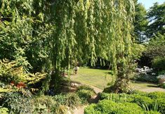 기타 2 B&B Jossefin Tuinen