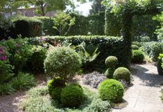 Khác 6 B&B Jossefin Tuinen