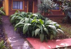 Lain-lain 5 Los Tangueros