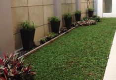 Others 3 Petogogan Residence