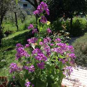 House Of The Three Marias1 , 飯店维拉法卡亚