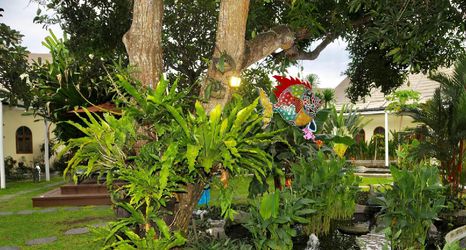 Others 2 Villa Costa Plenty