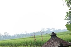 その他 Villa JJ and Spa Ubud