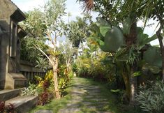 その他 2 Villa JJ and Spa Ubud