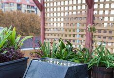 기타 6 The Village Kings Cross - Hostel