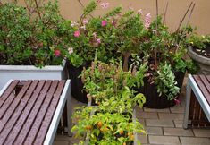 기타 7 The Village Kings Cross - Hostel