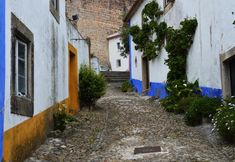 Others 3 Hostel Argonauta