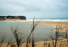 Others 5 Hostel Argonauta