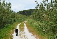 Others 6 Hostel Argonauta