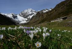 Others 6 Haus Elisabeth