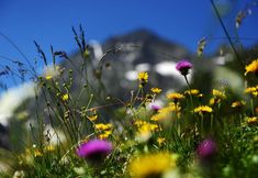 Others 2 Haus Elisabeth