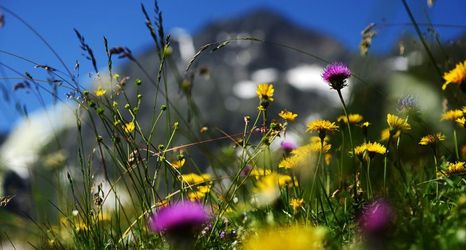 Others 2 Haus Elisabeth