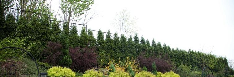 Lain-lain Hotel Politański