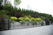 Lain-lain Hotel Politański