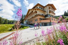 Khác Alpengasthof Grimmingblick