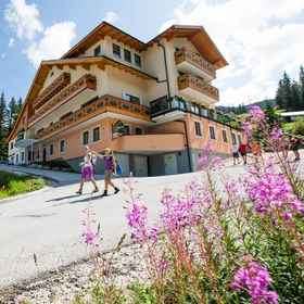 Alpengasthof Grimmingblick 1, 酒店 格罗斯索尔克