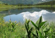 Khác 7 Alpengasthof Grimmingblick