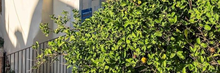 อื่นๆ Lithinon Luxury Suite