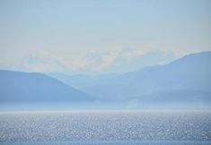 Others 5 Studios Asteria