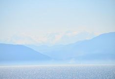 Others 6 Studios Asteria