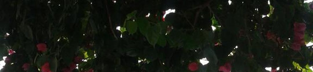 Others Pousada Aquarela