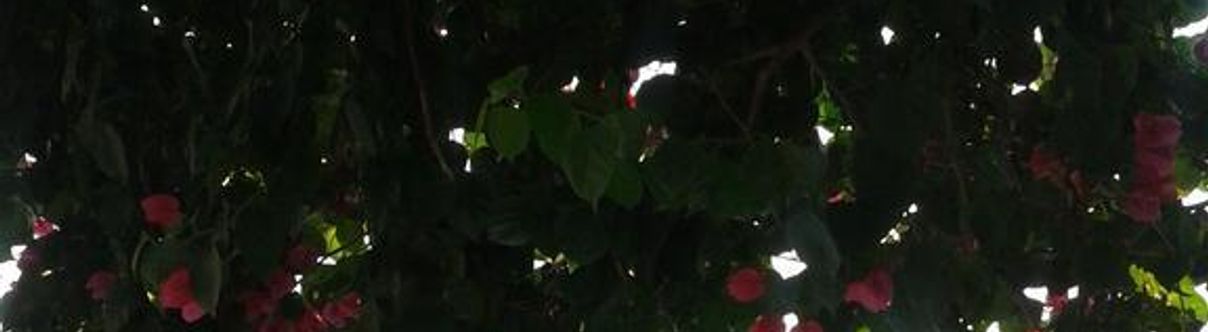 Others Pousada Aquarela