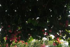 Others Pousada Aquarela