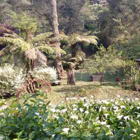 Pousada Bramasole1 , 飯店卡曼杜卡亚