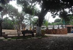 อื่นๆ 2 pousada estrela matutina