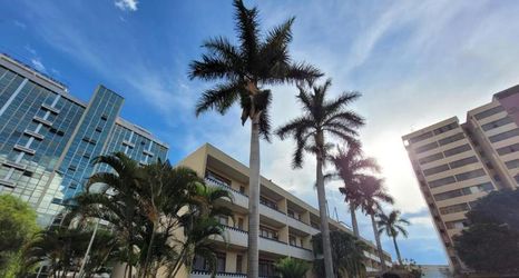 其他 2 Atlantico Hotel