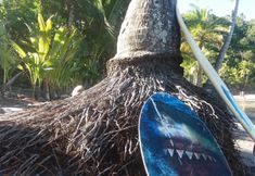 Lainnya 4 Pousada Voo Da Águia