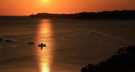 Others 2 Sunperla Shima