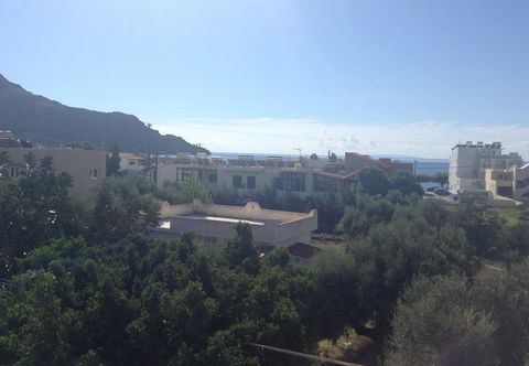 Others Studios Stella