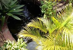 Others 4 Eco Pousada Jardim Do Eden