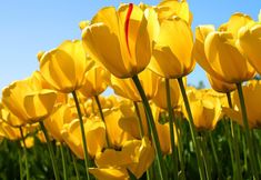 Others 5 Eco Pousada Jardim Do Eden