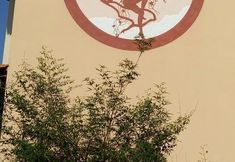 Others 6 Eco Pousada Jardim Do Eden