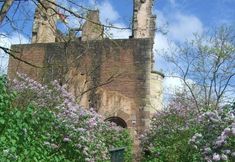 Others 4 Hotel-Restaurant Burg-Ramstein