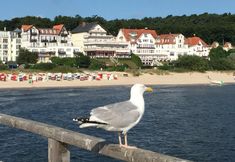 Others 7 Panorama Hotel Bansin