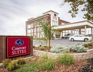 Others 2 Comfort Suites Woodland Sacramento Airport