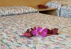 Others 6 Hotel BB Porto Piombino