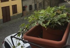 Others 6 B&B Il Portico Del Conte