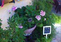 Others 7 B&B Il Portico Del Conte