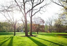 Others 3 Quinta Rosa Estate