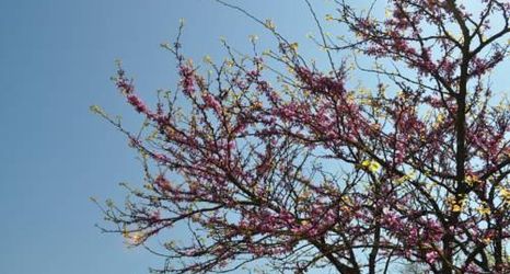 Others 2 Armonie Di Villa Incontri B&B