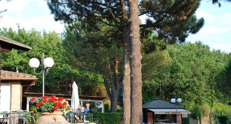 其他 2 Camping Barco Reale