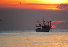 Others 3 B&B Villino Giovanna Wi-Fi Ac Prima Fila Mare Pineta