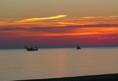 Others 4 B&B Villino Giovanna Wi-Fi Ac Prima Fila Mare Pineta