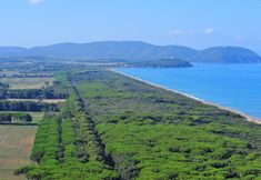 Others 5 Hotel Aurora