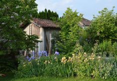 Others 3 B&B Giardini Dell'Ardo